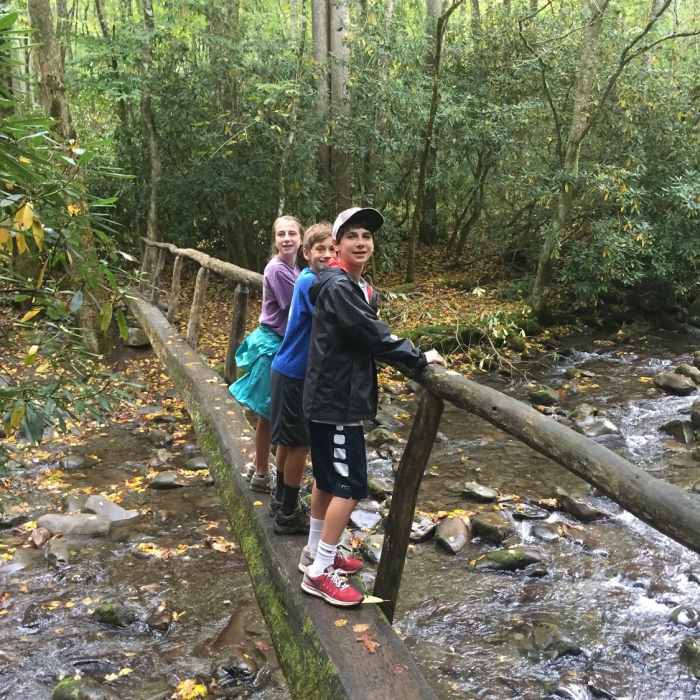 Near Bradley Fork Trail