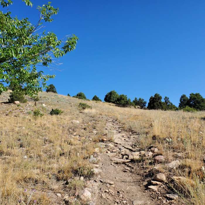 Near Smelter Mountain Trail