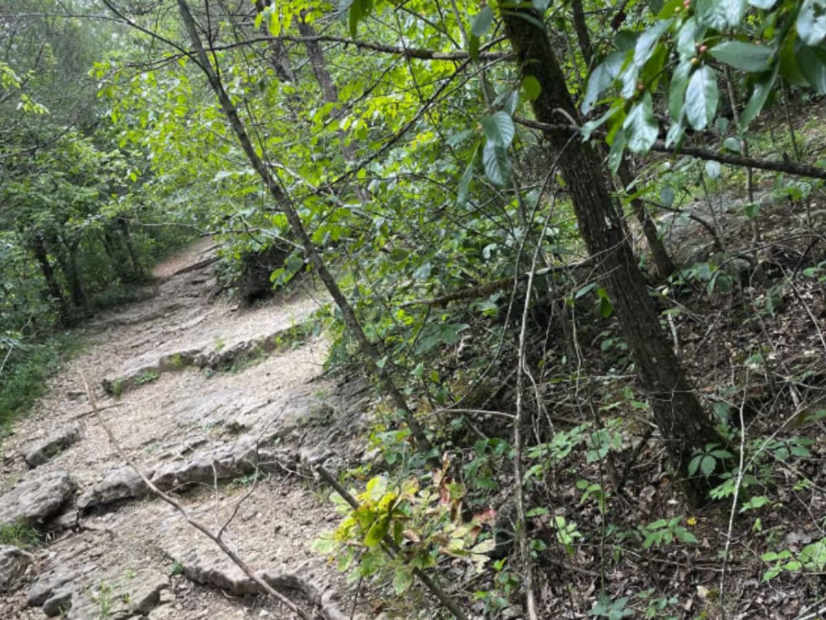 FR 1060 - Northern Portion photo 5