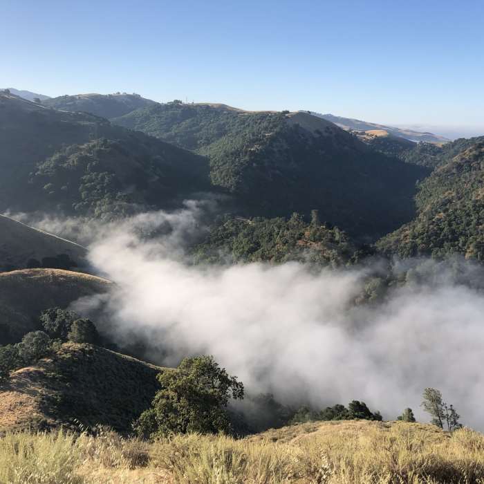 Near Sierra Vista Trail