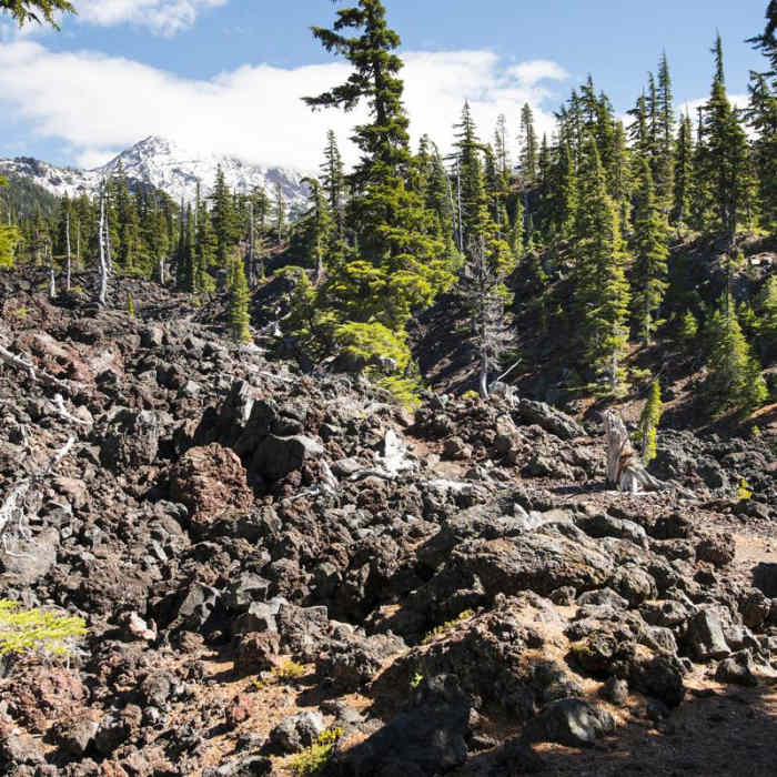 Near Eileen Lake + The Husband Lake Hike