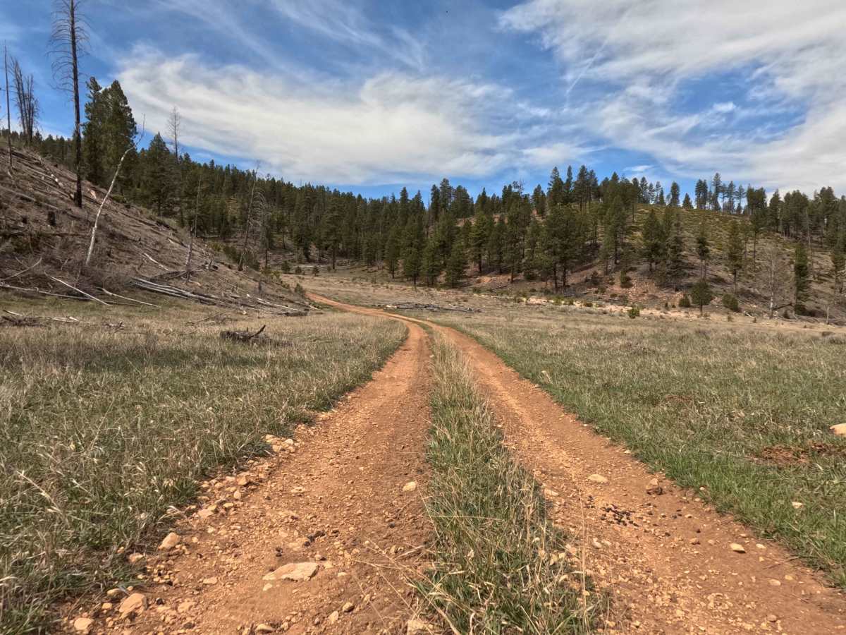 Paunsaugant - FS 1128 trail photo
