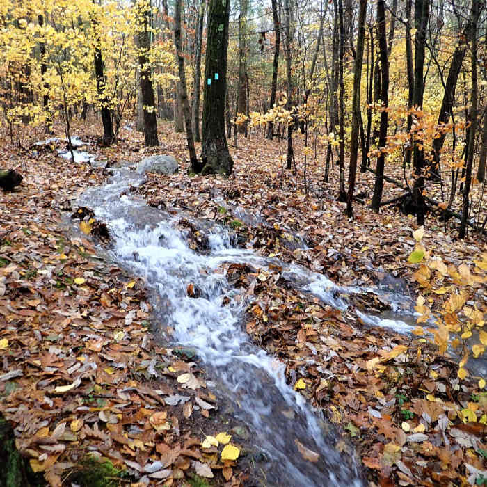 Near Shawangunk Ridge Trail: Gobblers Knob Section Near Shawangunk Ridge Trail: Gobblers Knob Section