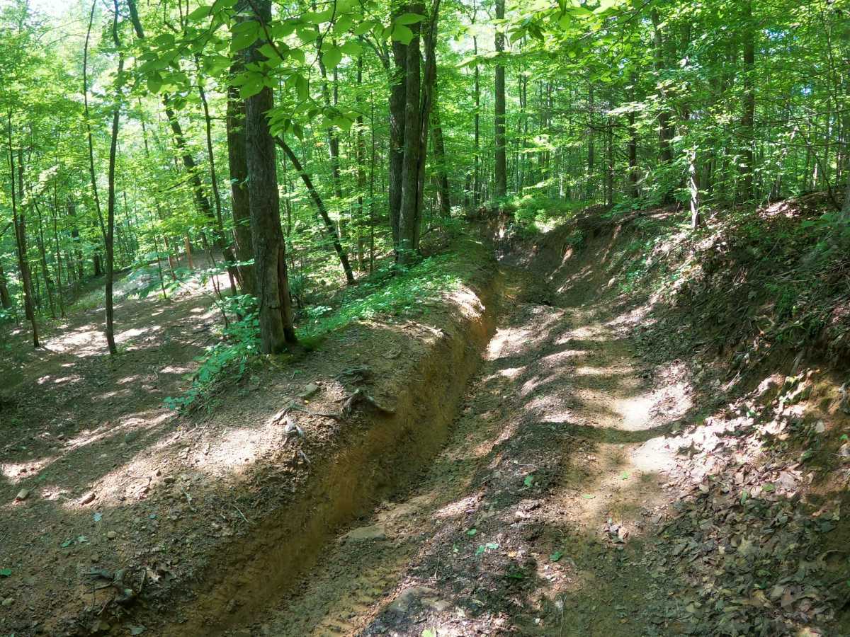 Martins Fork Trail photo 4