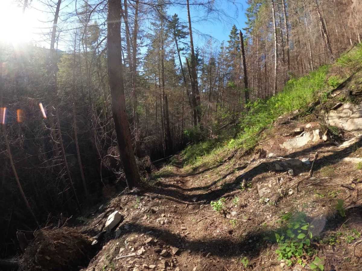 Graham Creek photo 2