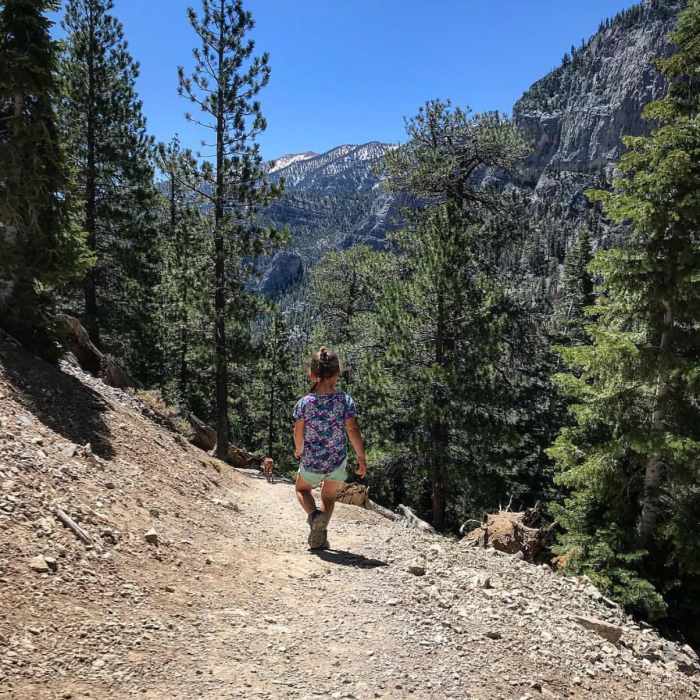 Fun Family hike! Near Mary Jane Falls Trail