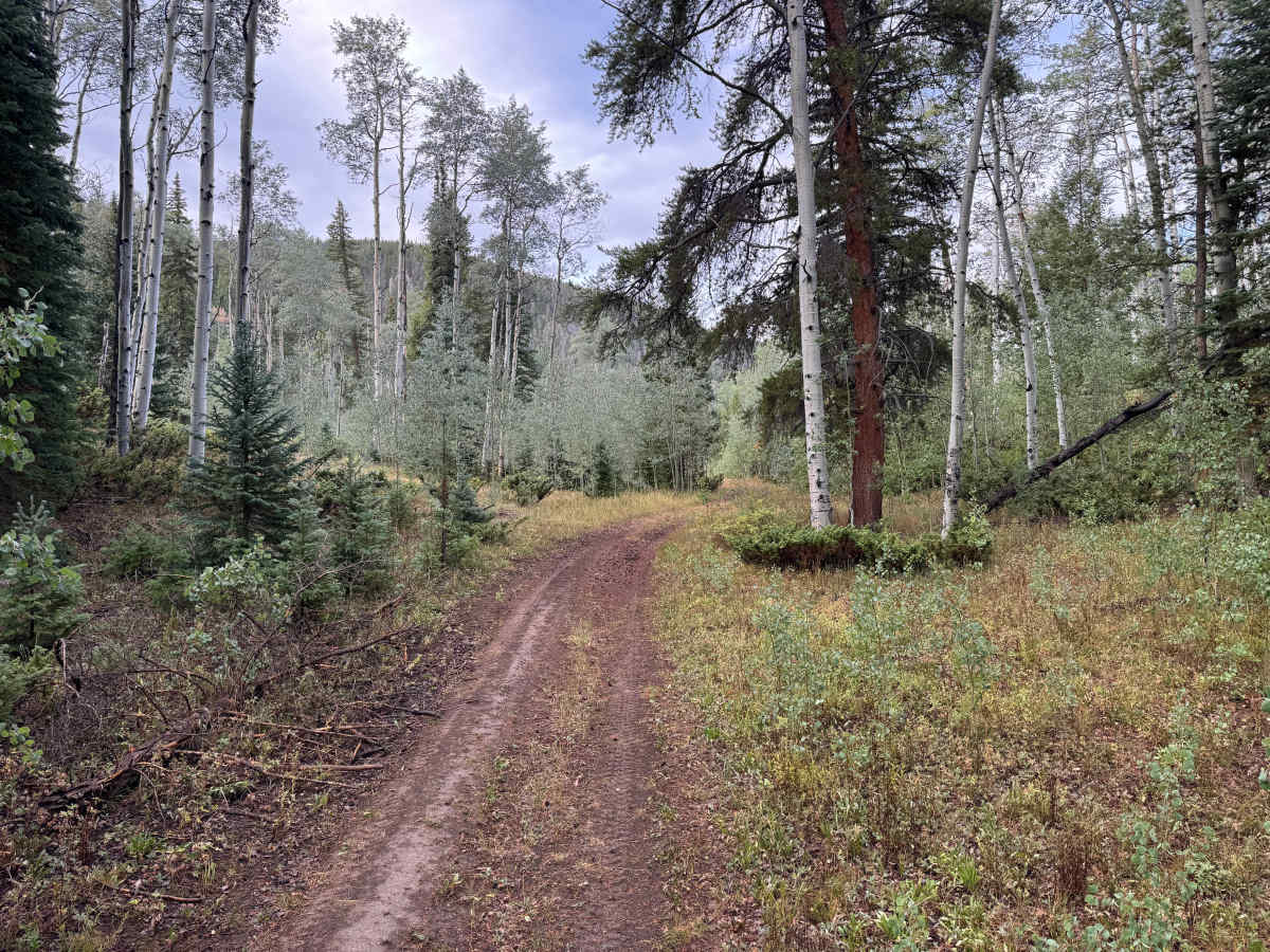 Upper Deadman Road photo 3