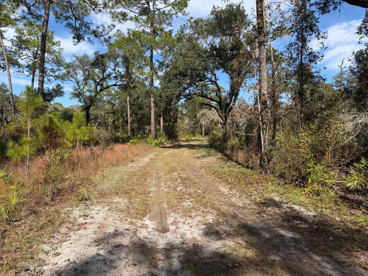 Cedar Pocket Road photo 3