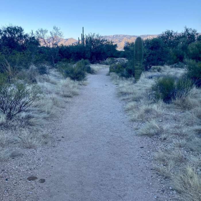 Near Loma Verde and Squeeze Pen Loop