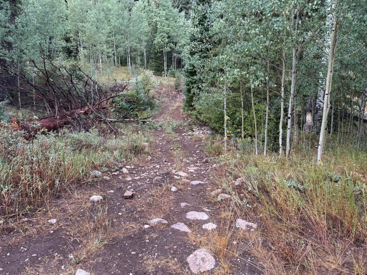 Meredith Trail trail photo