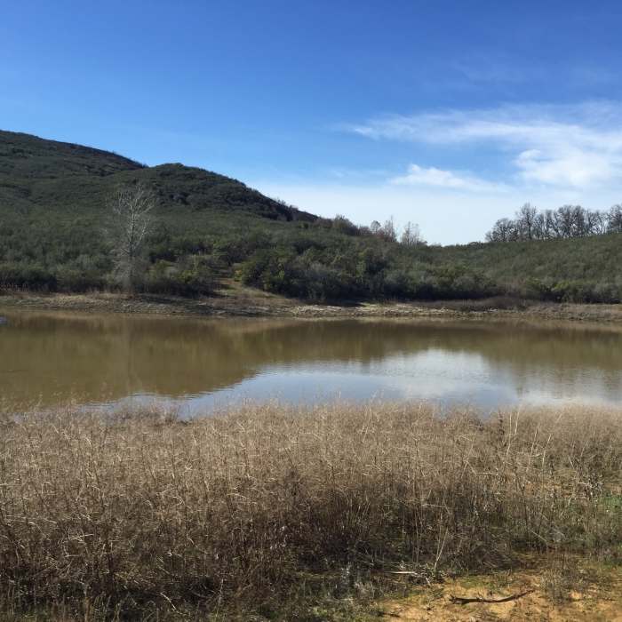 Near Frog Pond Trail