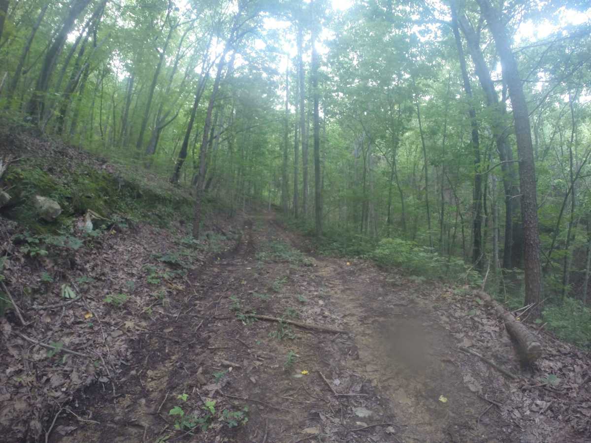 Chestnut Mountain Spur - FS 212C photo 6