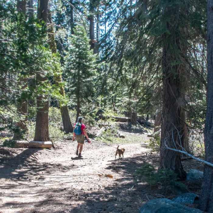 Near Volcano Lake Hike