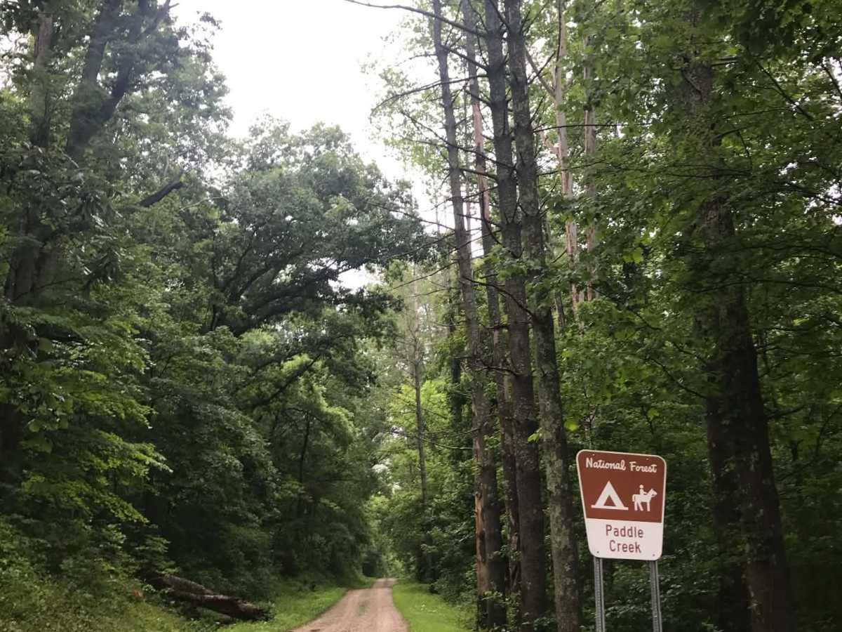 Paddle Creek  trail photo