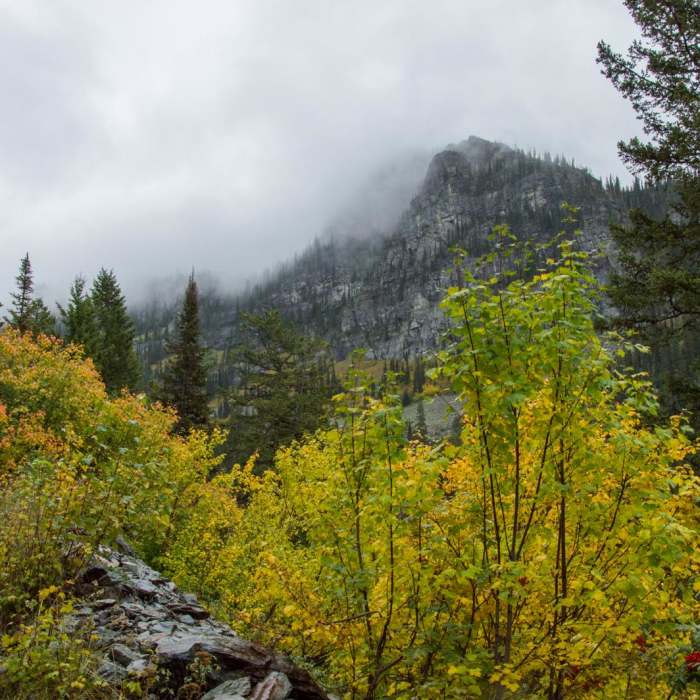 Near Sperry Trailhead to Sperry Chalet