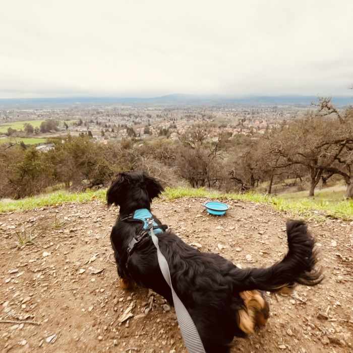 Near Alta Vista Trail