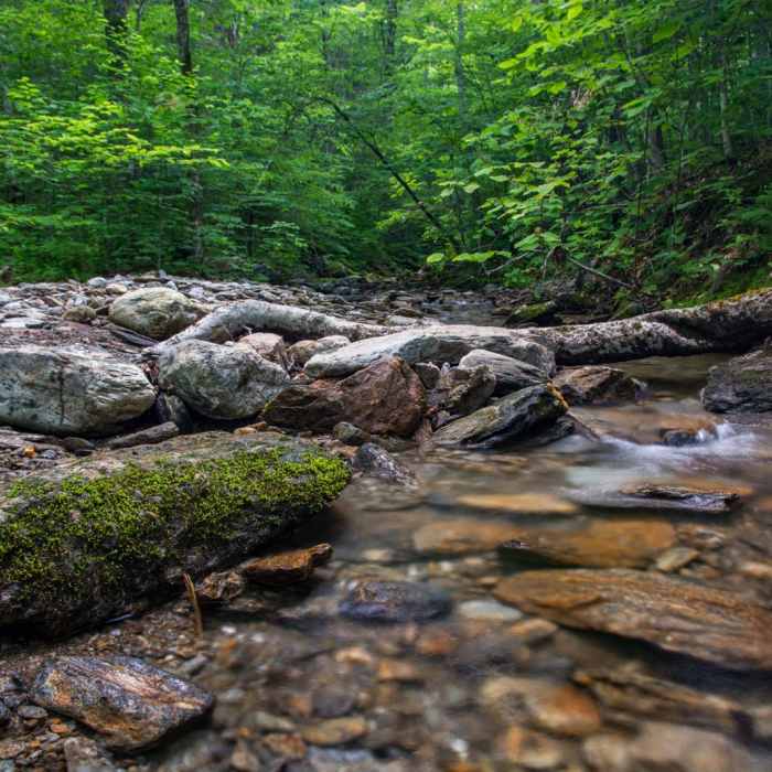 Near Burnt Rock Mountain via Hedgehog Brook Trail Near Burnt Rock Mountain via Hedgehog Brook Trail