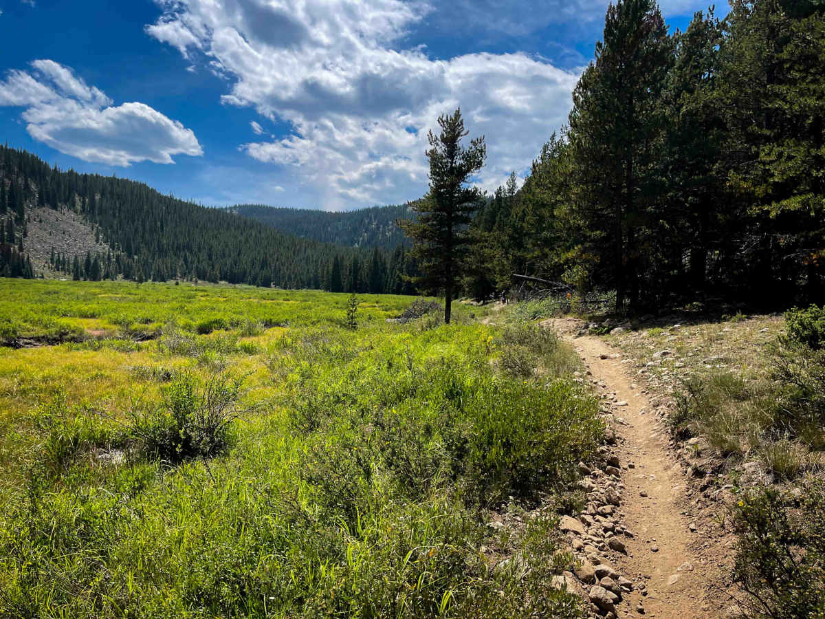 Star Lily Connector #623  trail photo
