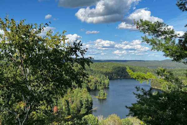 Tom's Scenic Lookout