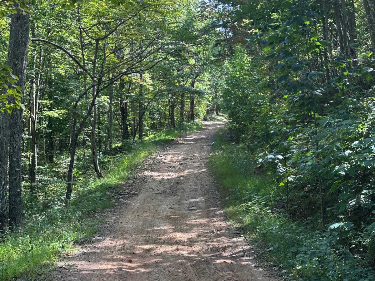 Taskers Entrance trail photo