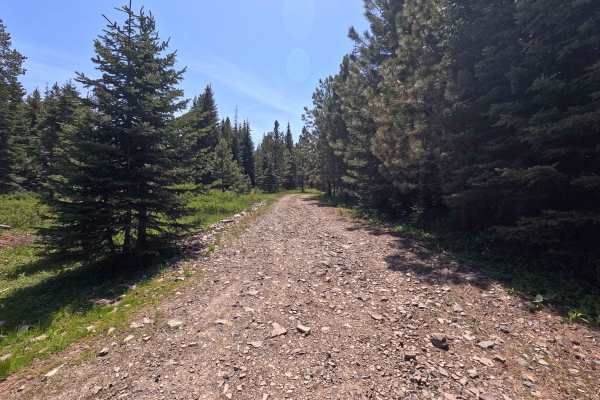 Hawk Eye - Trail 206