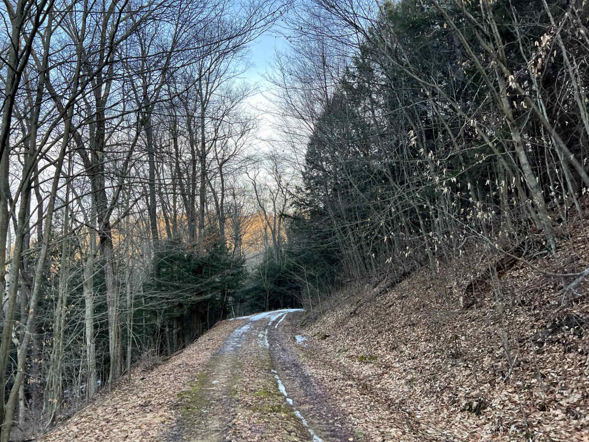 Meade Run Trail - FS 457A photo 5