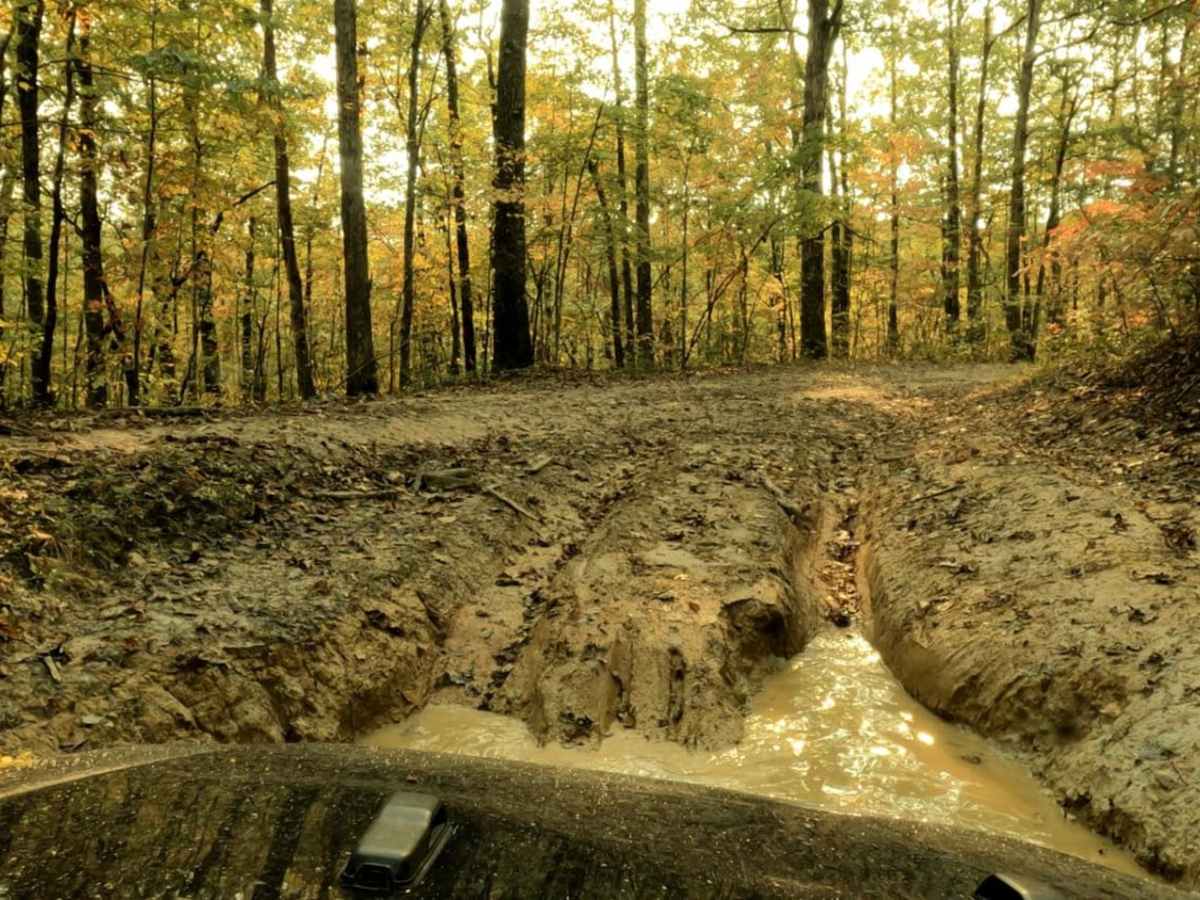 Pistol Creek trail photo
