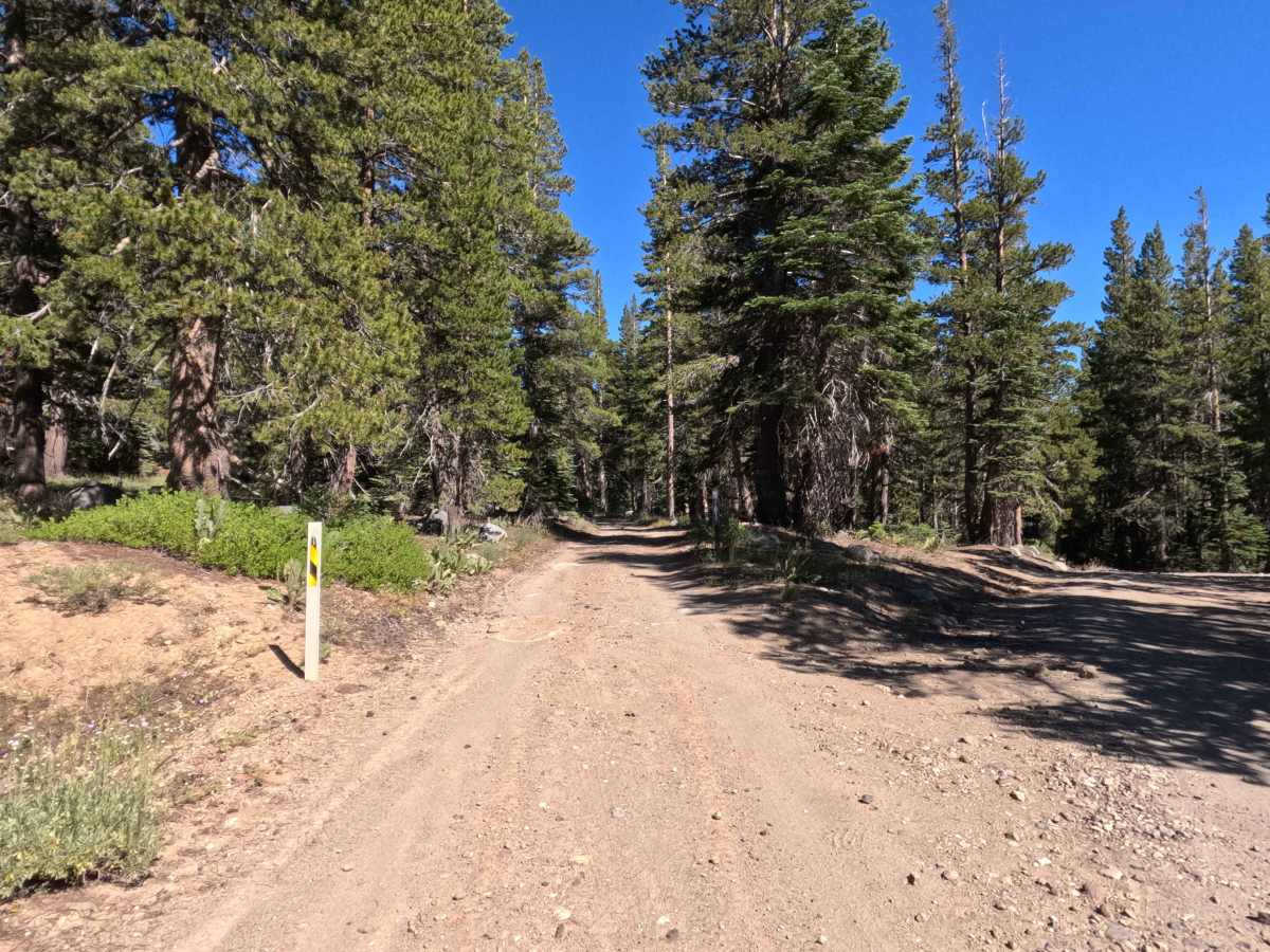 Forestdale Loop Road - FS 31013A photo 2