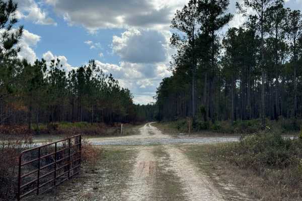New Road