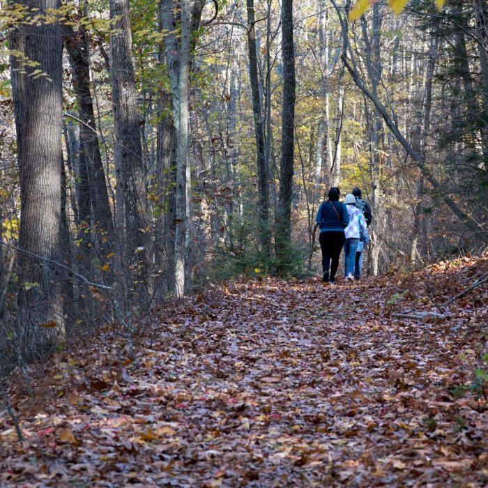 Near Hidden Lake Trail Near Hidden Lake Trail