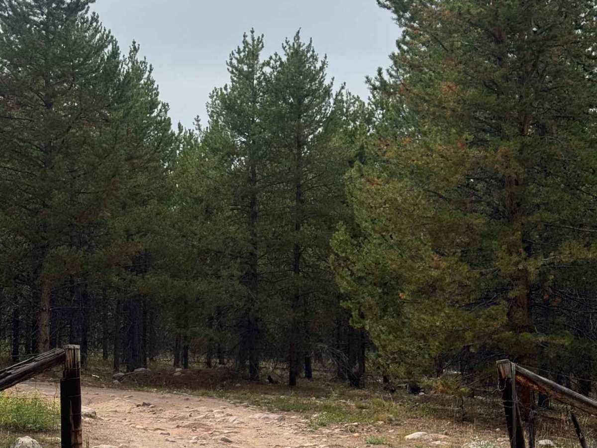 Porcupine 2 trail photo