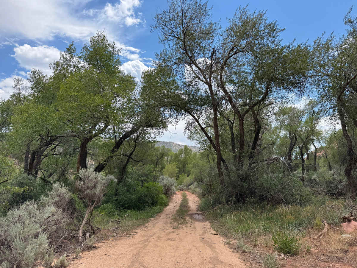 BLM 8457D trail photo