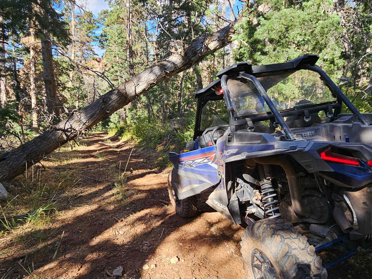 Strawberry Canyon photo 4