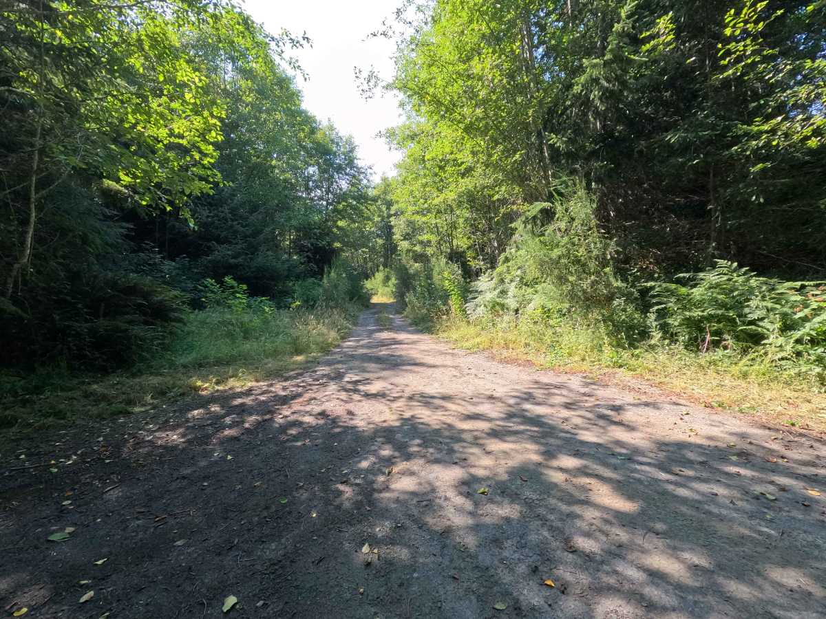 PA-S-2550-6670 trail photo