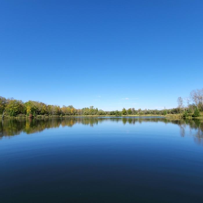 Ludlow Pond Near The Big Bog