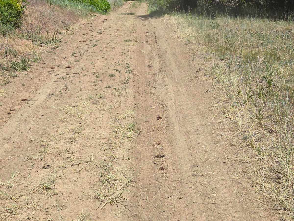 Bull Creek Trail - FS 682 photo 6