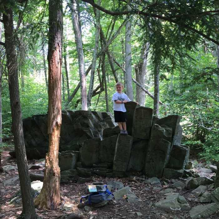 Near Limberlost Trail