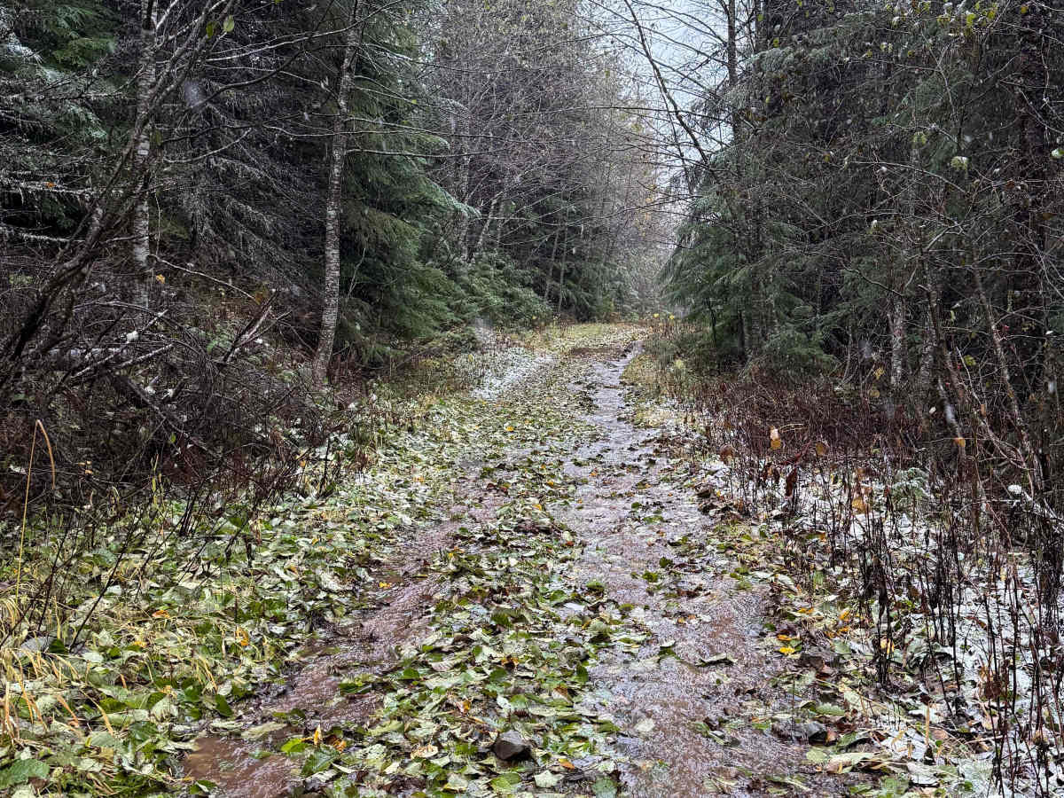 Bornite Mountain Trail photo 4