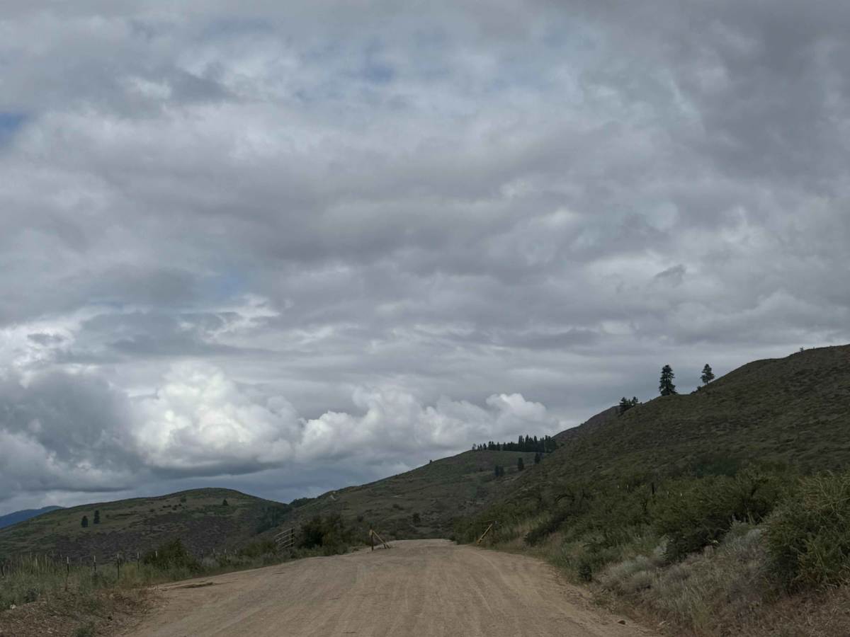 Washout Road - FS 5009-300  trail photo