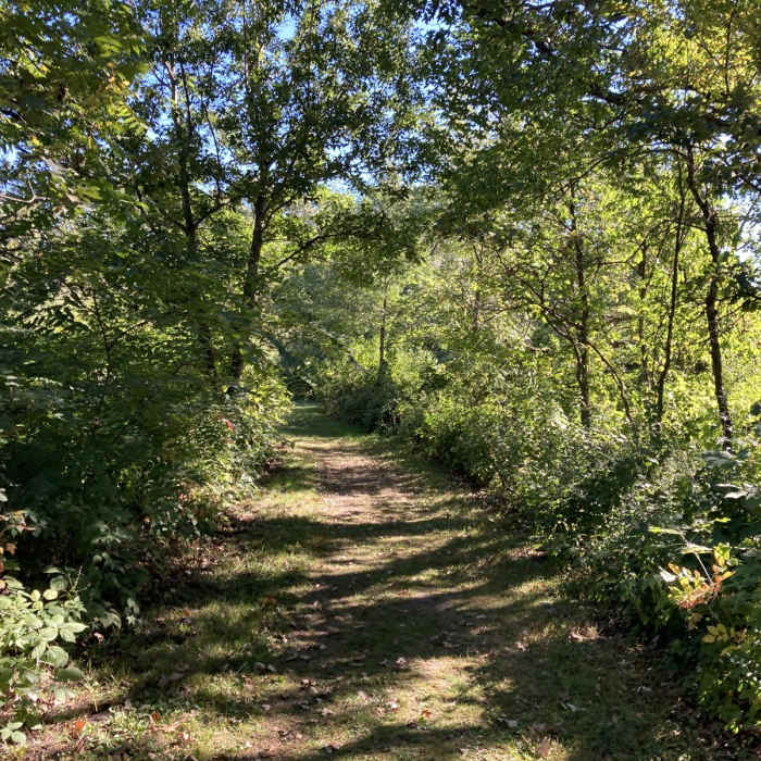 Near Hiking Club Trail