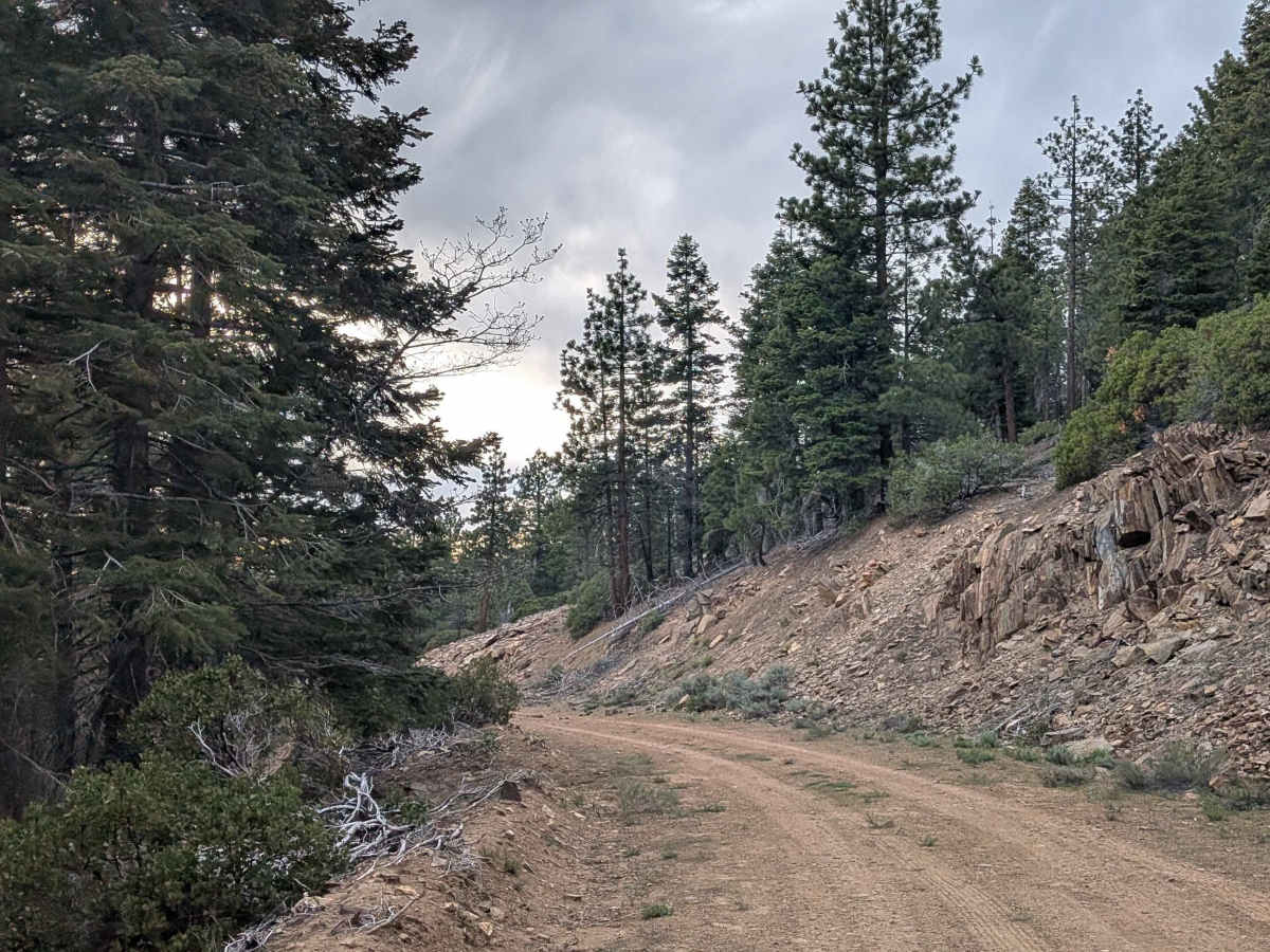 Deadwood - FS 23S09 trail photo