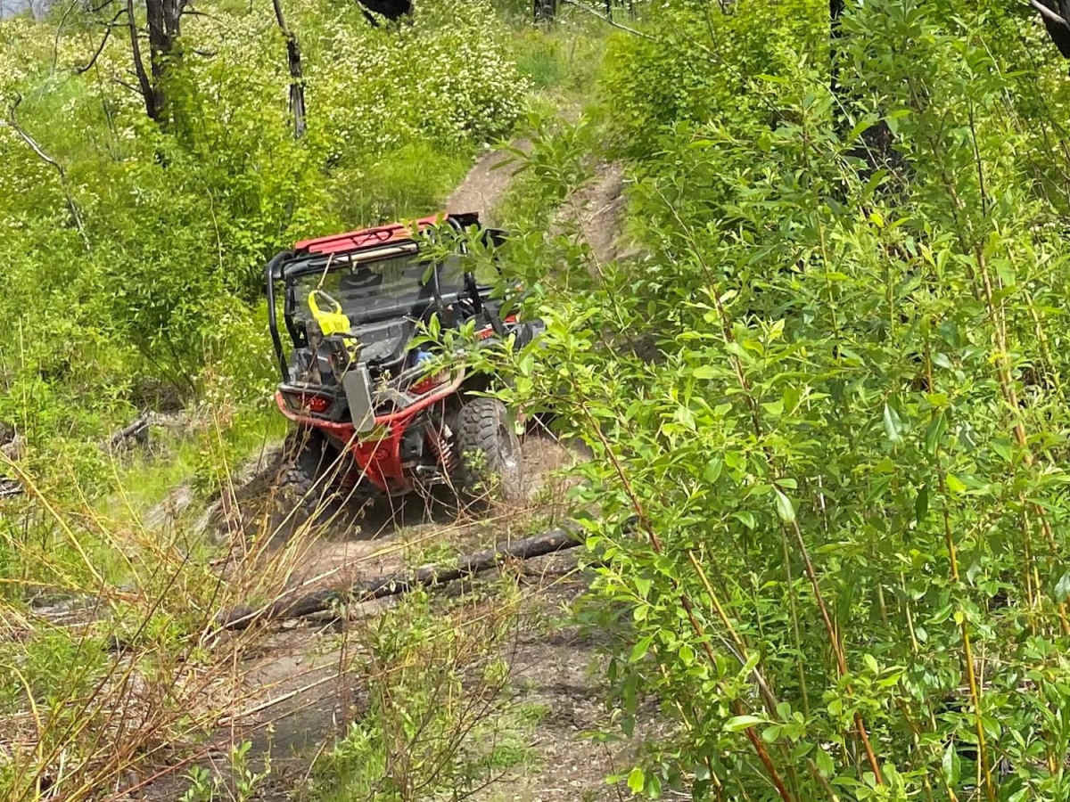 Thompson Ridge Trail photo 6