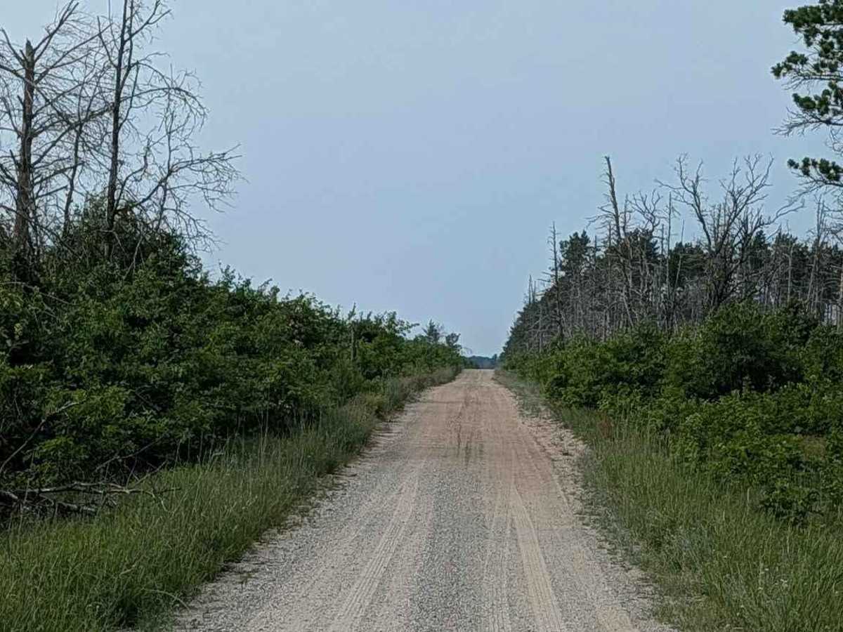 Chandler Road - FS 4422 photo 2