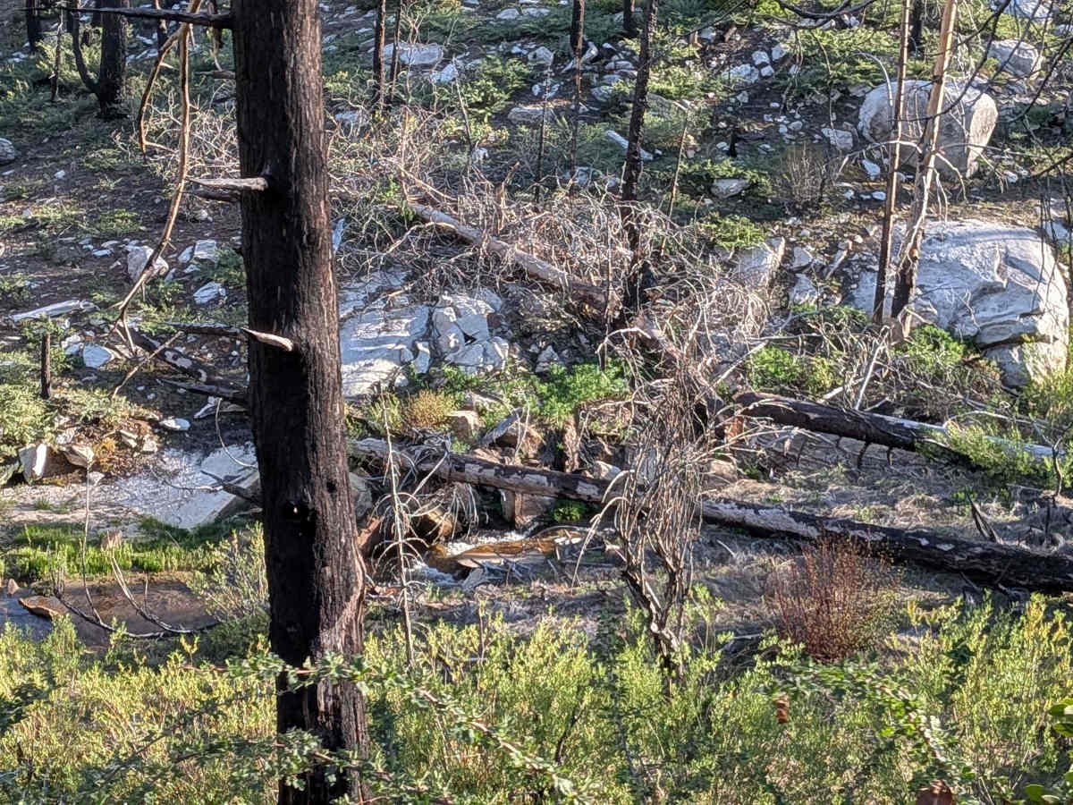Parker Forks - FS 22S18 photo 2