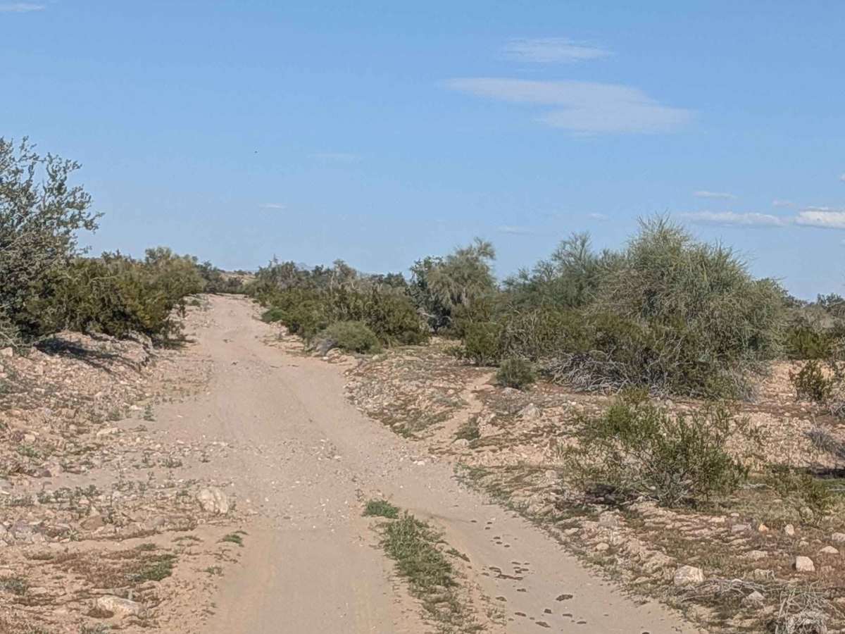 EC1146 trail photo