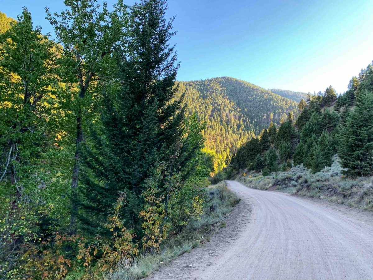 Potosi Willow Creek trail photo