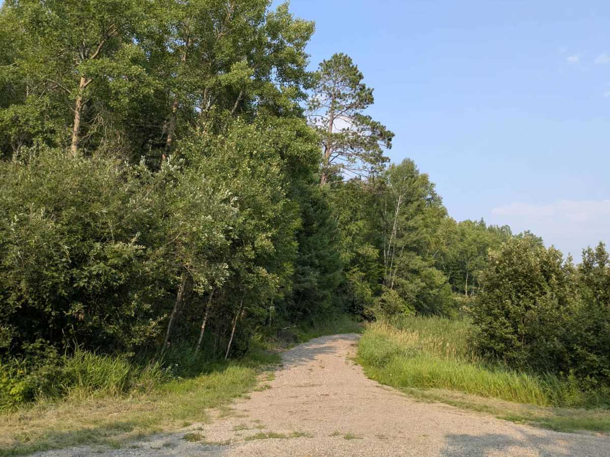 Mud Creek Road photo 2