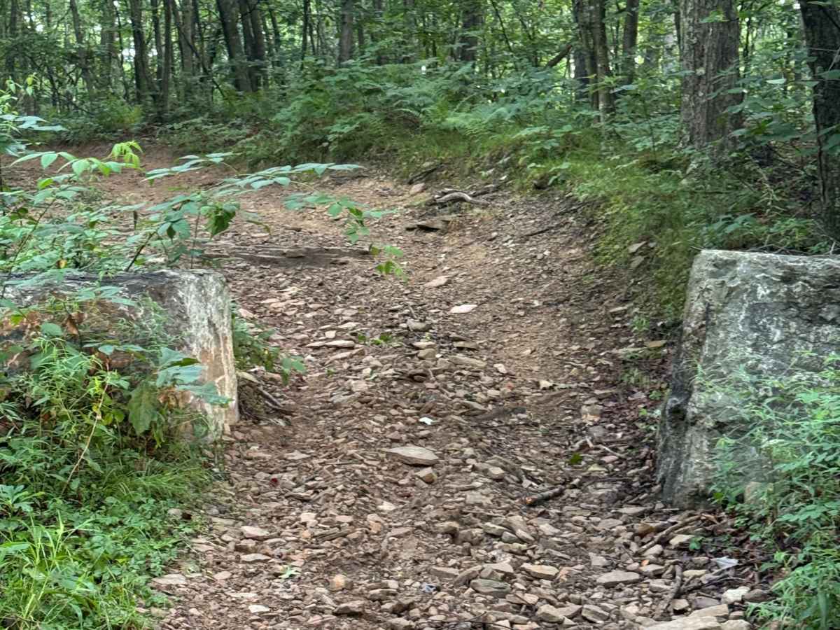 Trail 46 photo 4