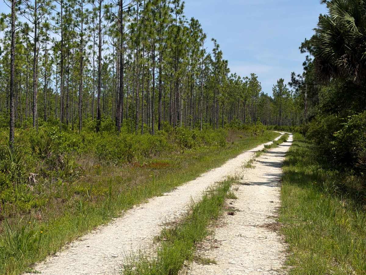 Quarters Road trail photo