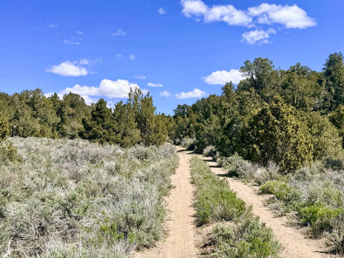 Historical Stage Route -  FS 44214 photo 5